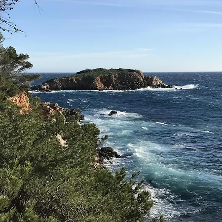 Dans La Nature A 5mn De La *