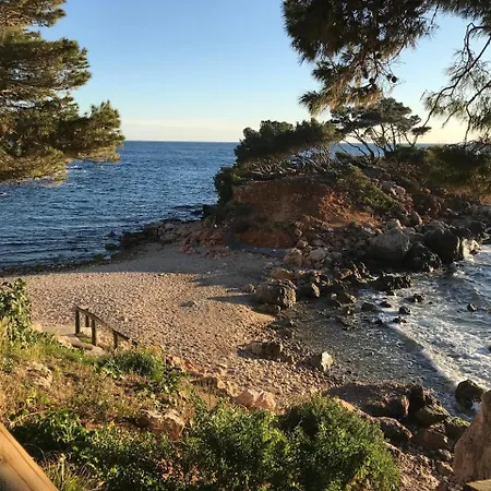 Dans La Nature A 5mn De La